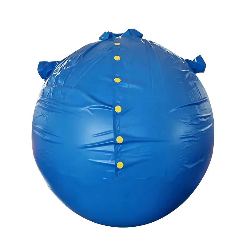 Inflatable Blueberry Suit Fruit Cosplay Costume